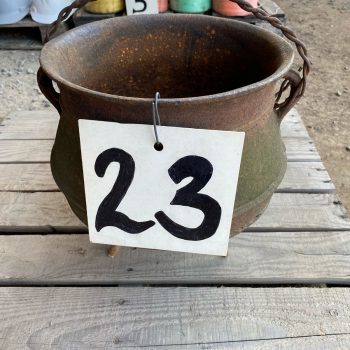 23